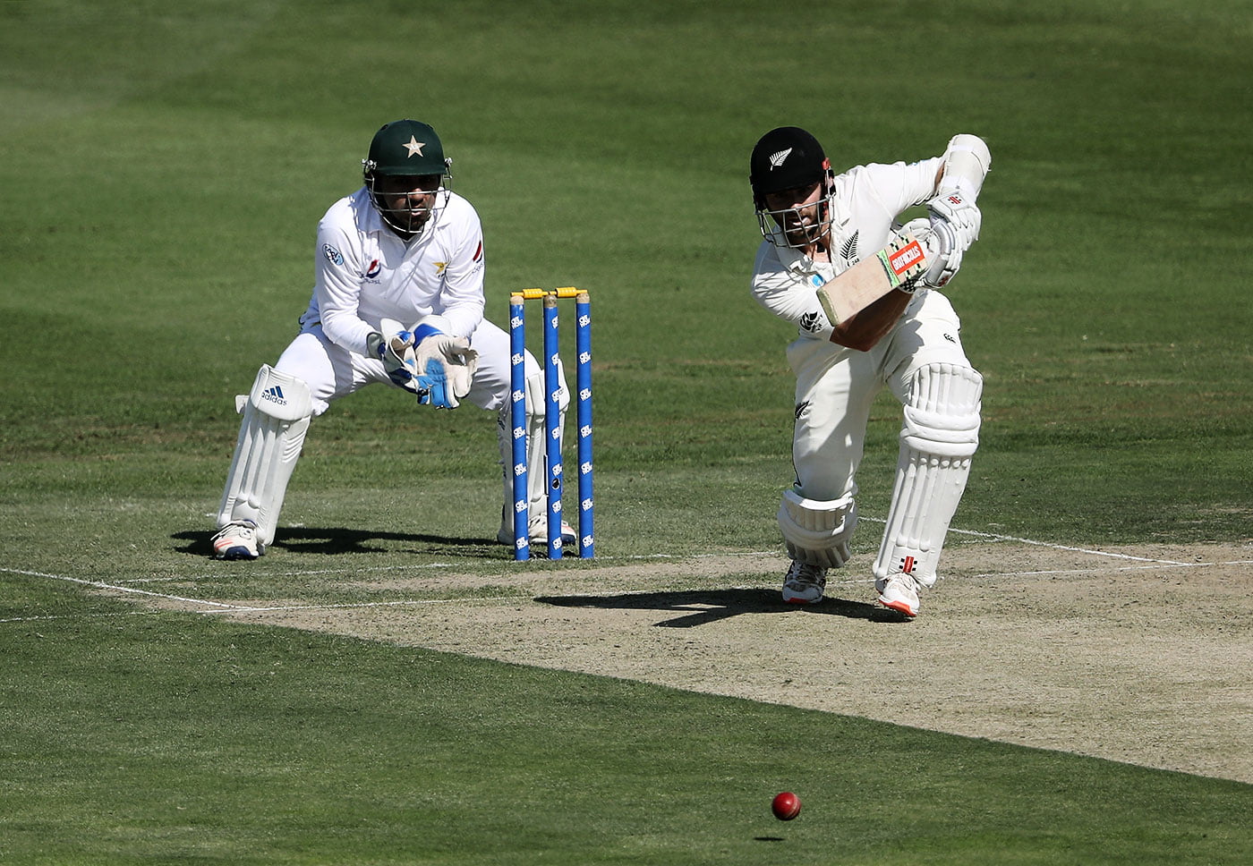 Master Cricket Basics