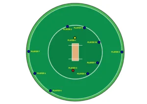 Cricket Field Positions and Roles