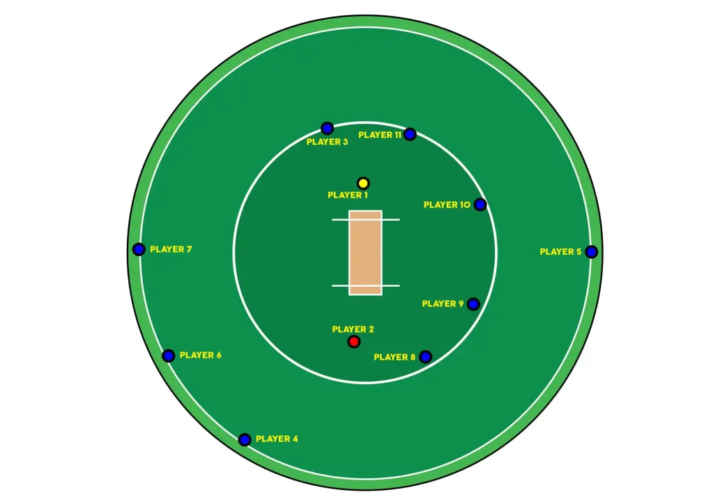 Cricket Field Positions and Roles
