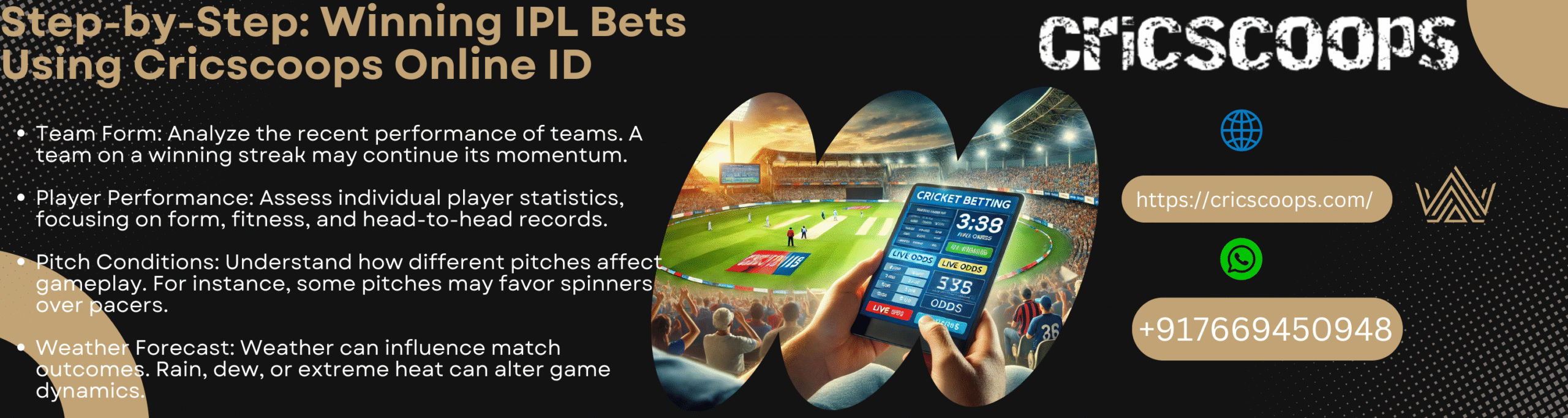 online cricket id provider cricscoops india no 1 online id provider here